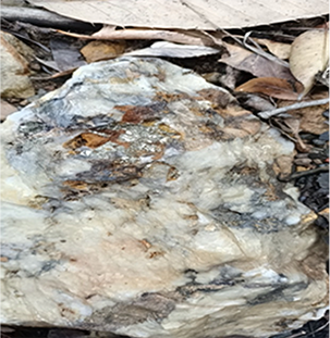 图层 94 拷贝.png